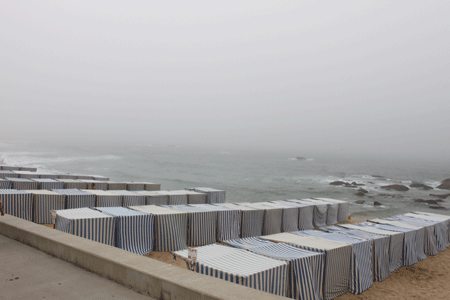 Beaucoup de sardines ici, m�me sur la plage !!!