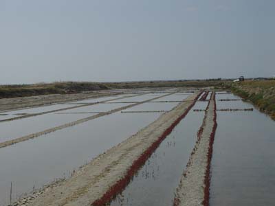 Les marais salants