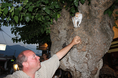 Non, ce n'est pas la joke du minou...