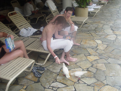 Petits, petits...