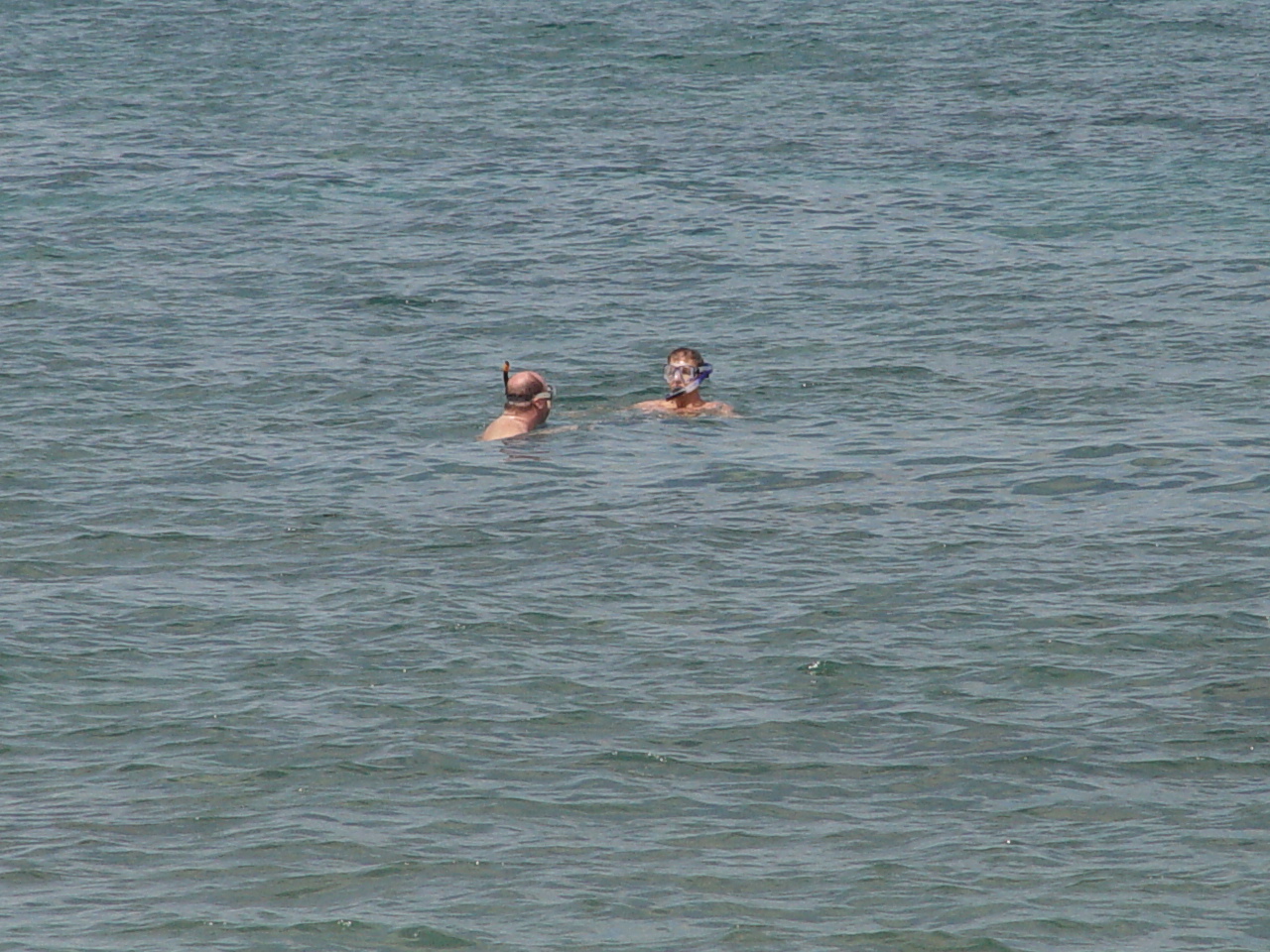 C'est pas eux autres les baleines!!