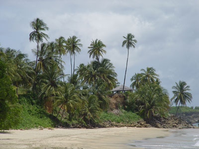 Mount Irvine Bay