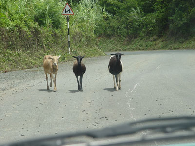 Et elles ont priorit� en plus !!!